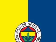 Derbide üzücü haber! Fenerbahçe taraftarı hayatını kaybetti. İki kulüpten de açıklama geldi